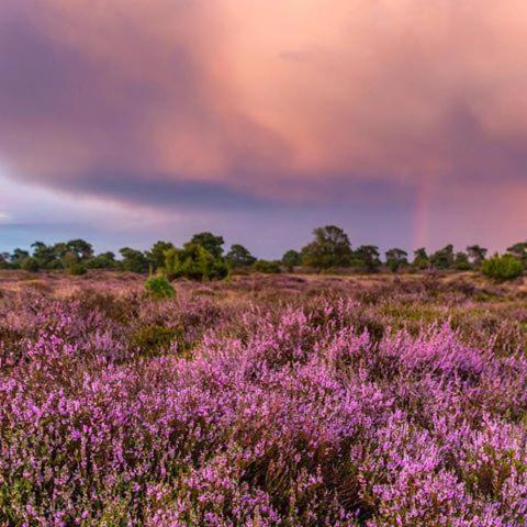 B&B De Panheide Hooghalen Eksteriør billede