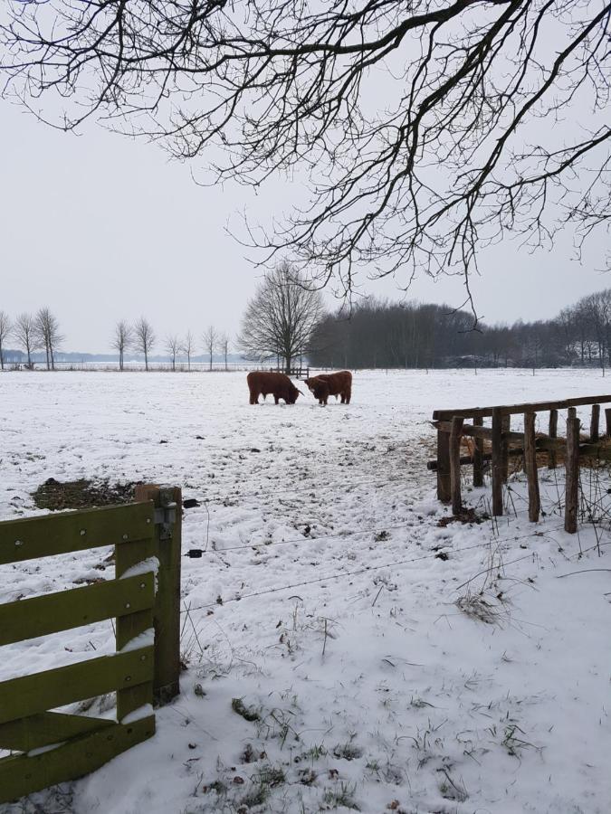 B&B De Panheide Hooghalen Eksteriør billede