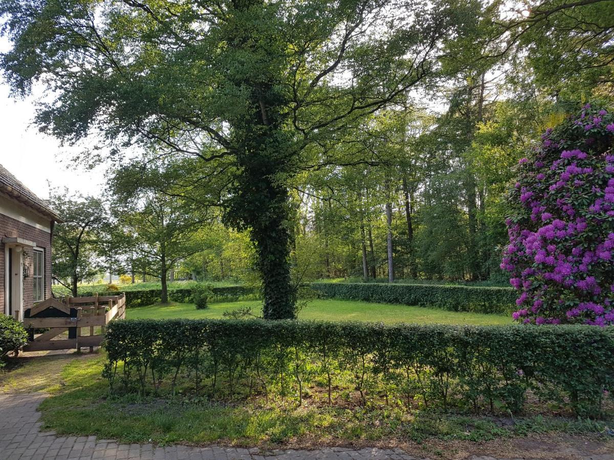 B&B De Panheide Hooghalen Eksteriør billede